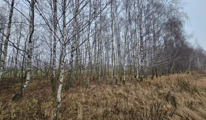 Działka budowlana Teolin