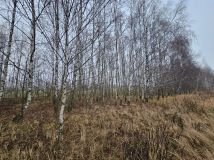 Działka budowlana Teolin