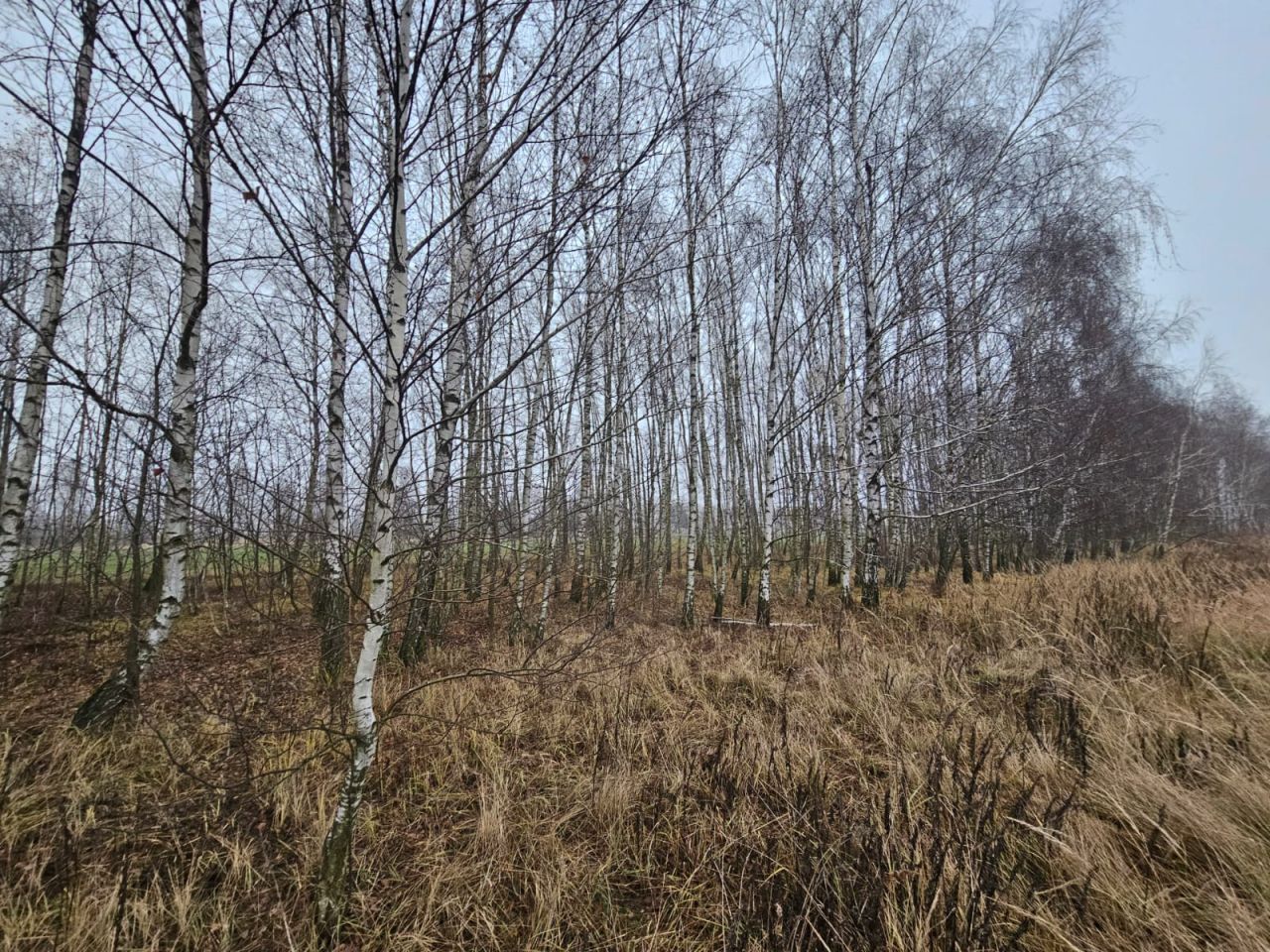 Działka budowlana Teolin