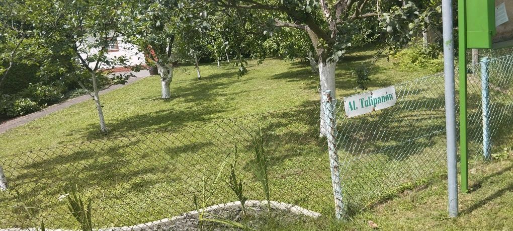 Działka rod Legnica. Zdjęcie 5