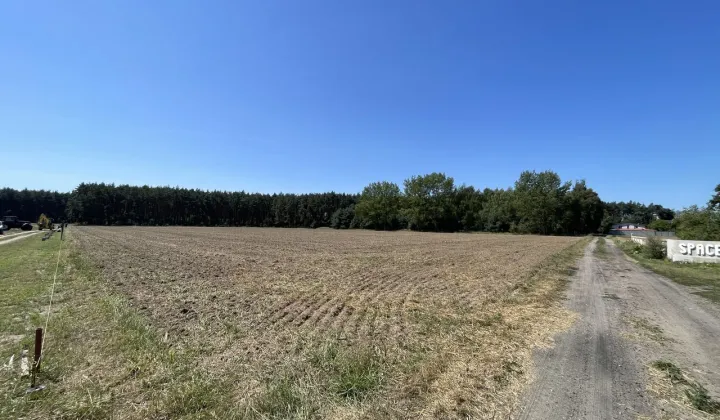 Działka budowlana Piotrowice