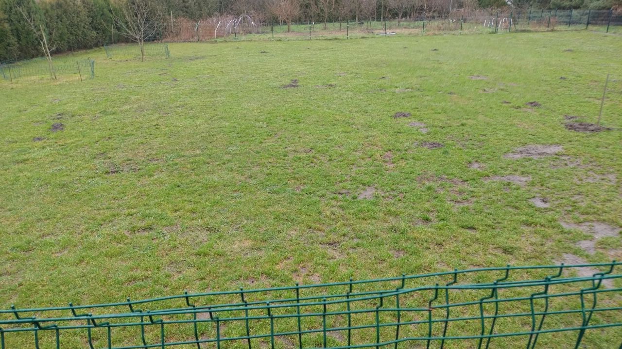 Działka budowlana Góra Kajęcin, ul. Dębowa. Zdjęcie 3