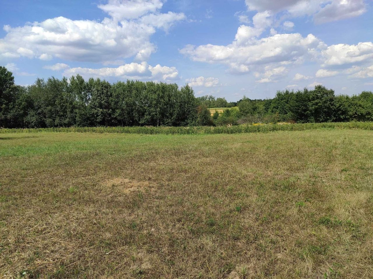 Działka rolna Rąblów. Zdjęcie 7