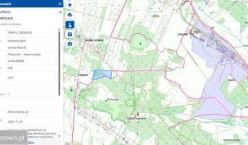 Działka rekreacyjna Zajączków