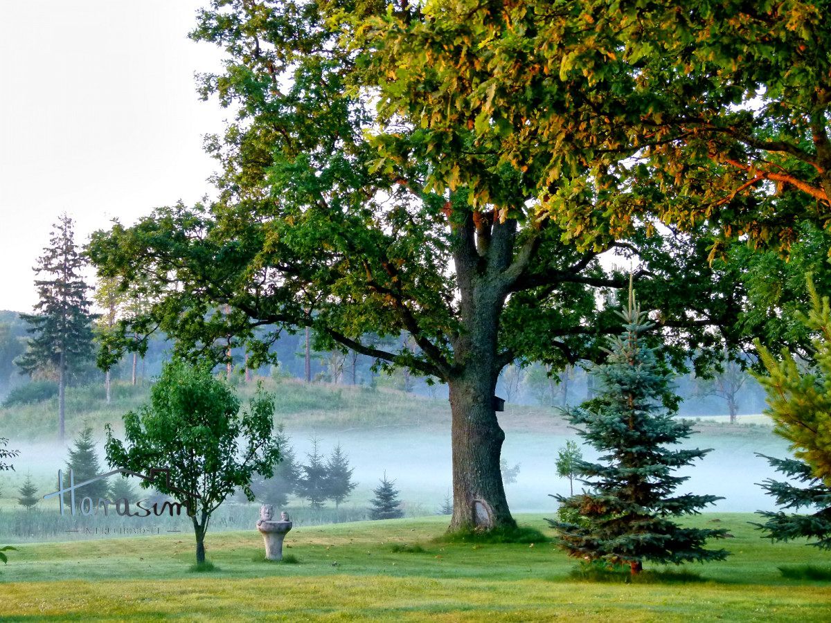 dom wolnostojący, 4 pokoje Kamionki. Zdjęcie 9