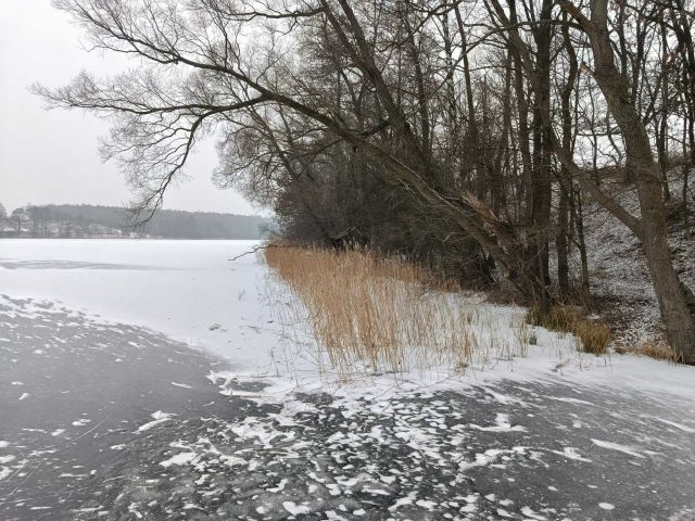 Działka budowlana Skórki. Zdjęcie 1