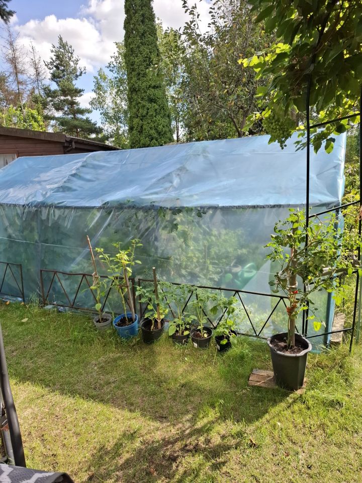 Działka rod Wola Mrokowska, ul. Ogrodowa. Zdjęcie 6