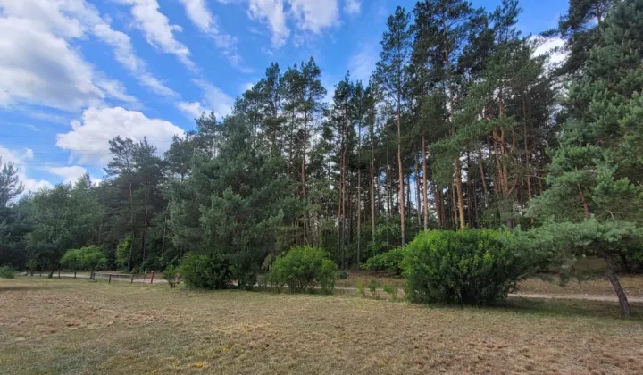 Działka budowlana Dolna Grupa, Brak