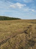 Działka rolno-budowlana Krajno Pierwsze. Zdjęcie 3