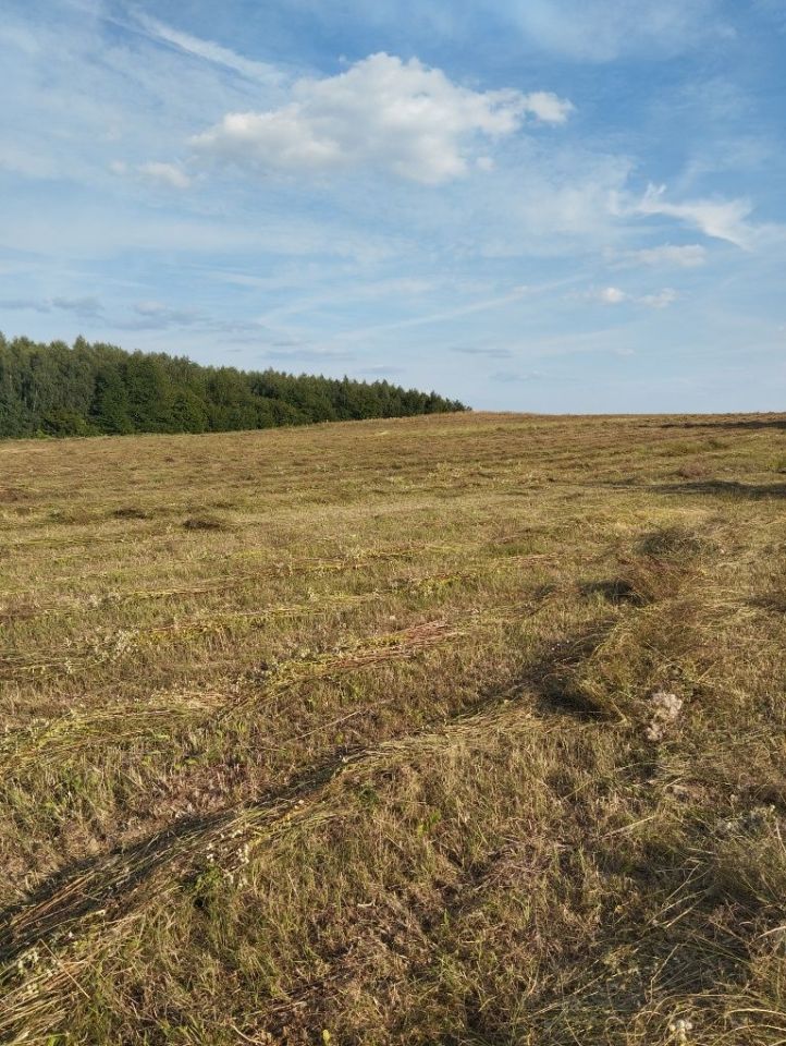 Działka rolno-budowlana Krajno Pierwsze. Zdjęcie 4