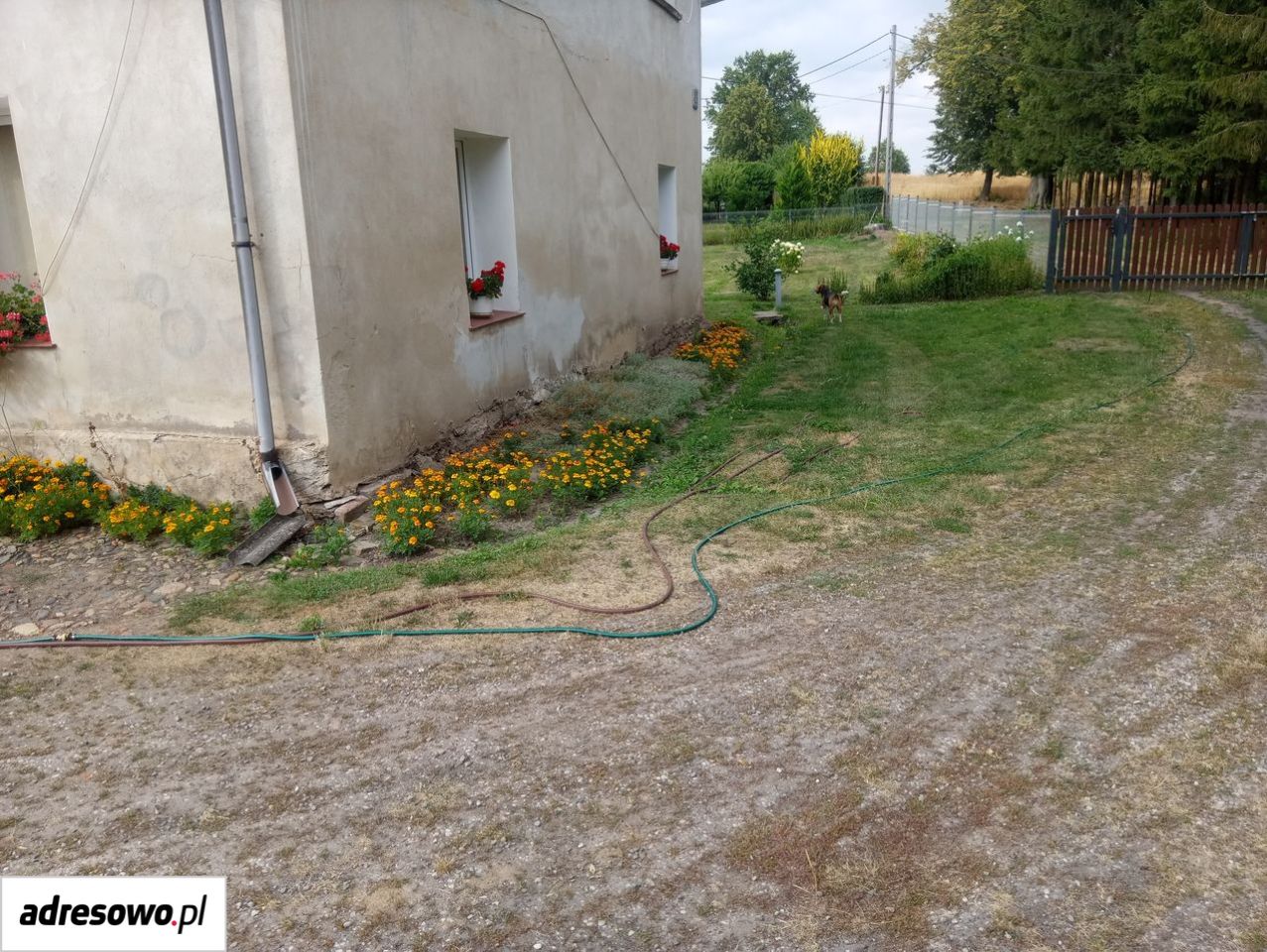 dom wolnostojący, 3 pokoje Lasowice. Zdjęcie 6