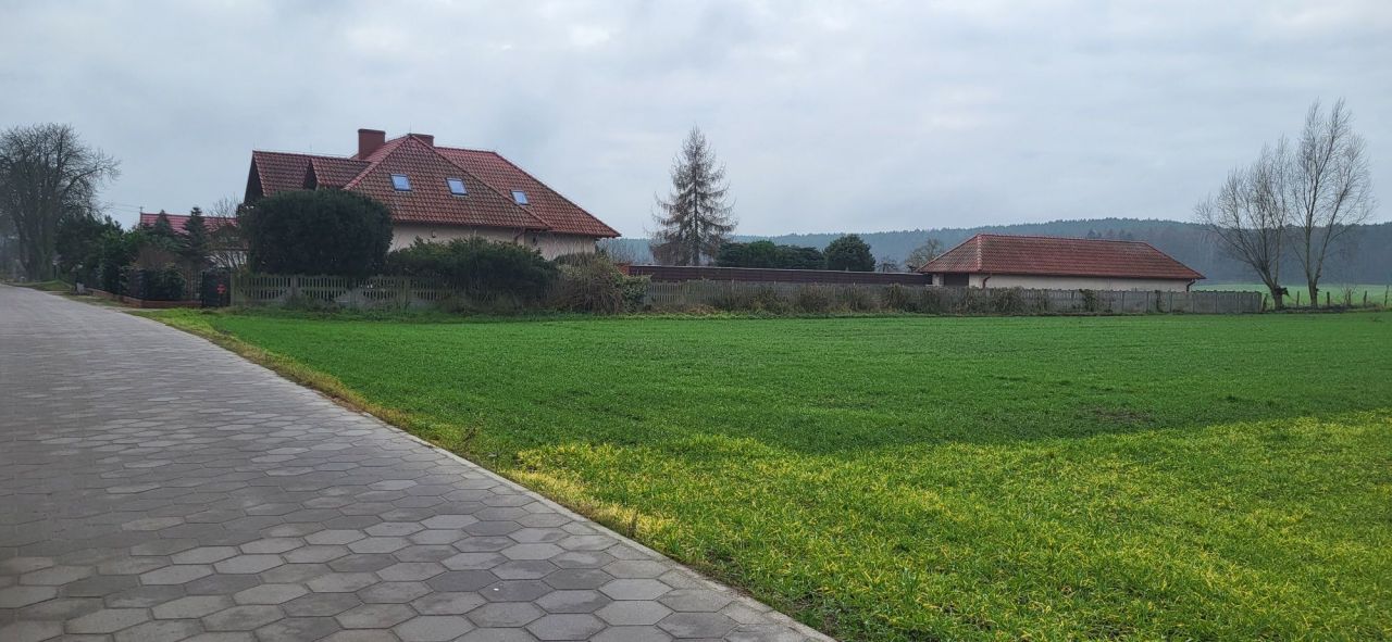 Działka rolno-budowlana Trzebania. Zdjęcie 5