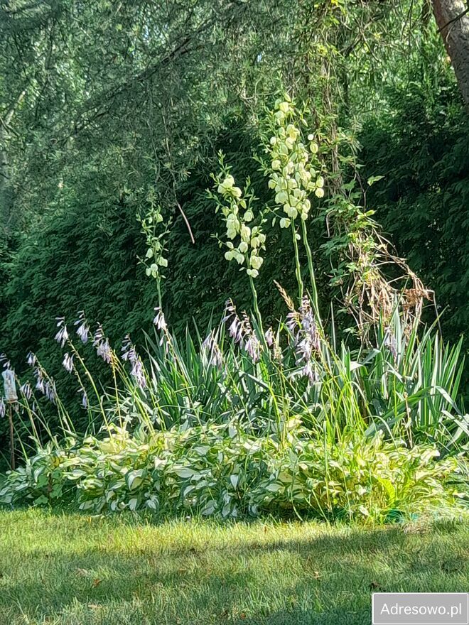 dom letniskowy, 2 pokoje Sumin. Zdjęcie 7