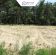 Działka rolna Grabowo. Zdjęcie 2