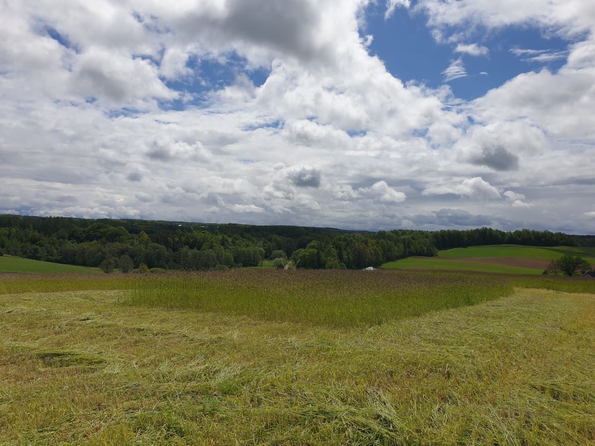 Działka budowlana Barłomino. Zdjęcie 3