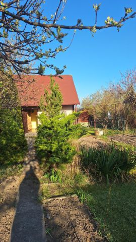 Działka rod Koszalin Północ, ul. Aleja Europejska. Zdjęcie 1