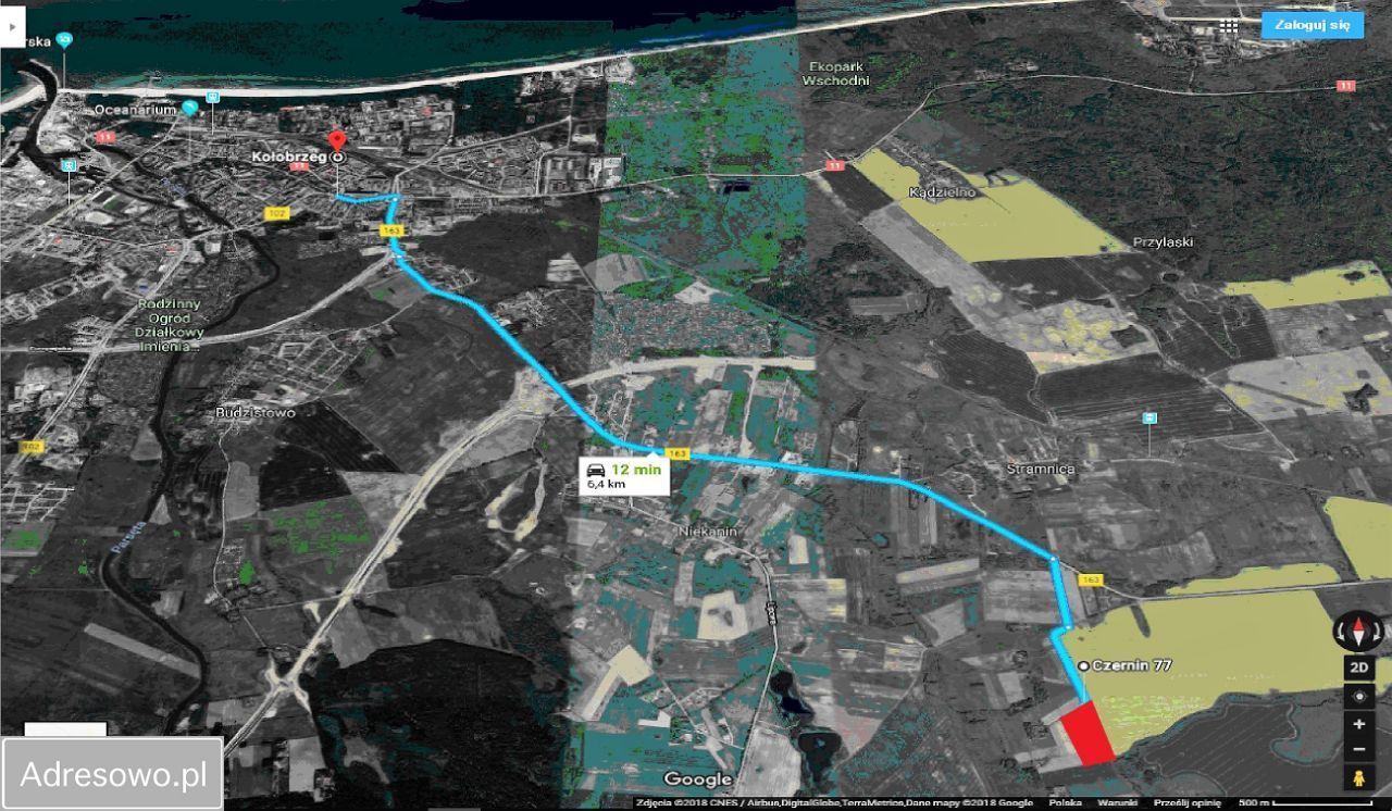 Działka siedliskowa Czernin. Zdjęcie 5