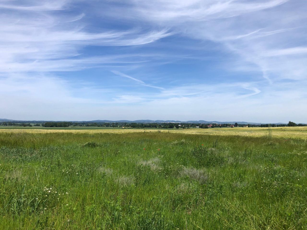 Działka budowlana Lutomia Górna, ul. Widokowa. Zdjęcie 8