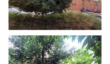 Lokal Kraków Śródmieście, ul. Juliusza Kadena-Bandrowskiego