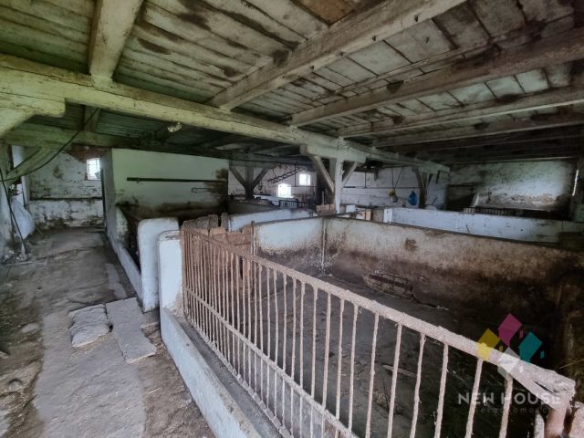 Działka siedliskowa Bieniasze. Zdjęcie 8