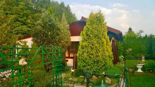 Działka rod Kierszek. Zdjęcie 1