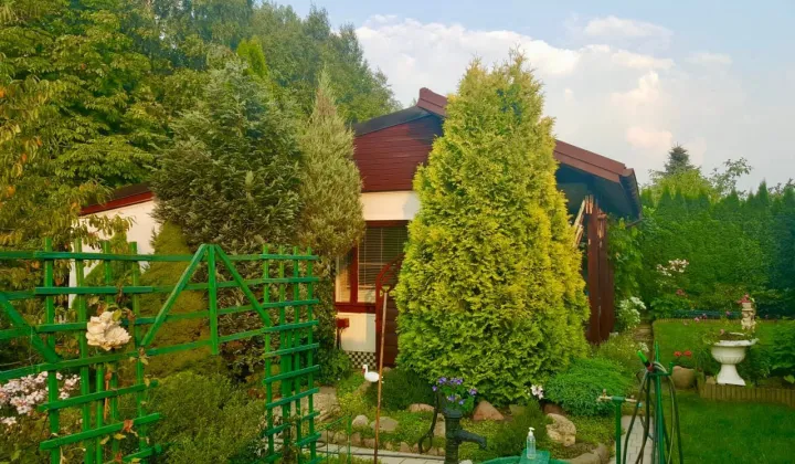 Działka rod Kierszek