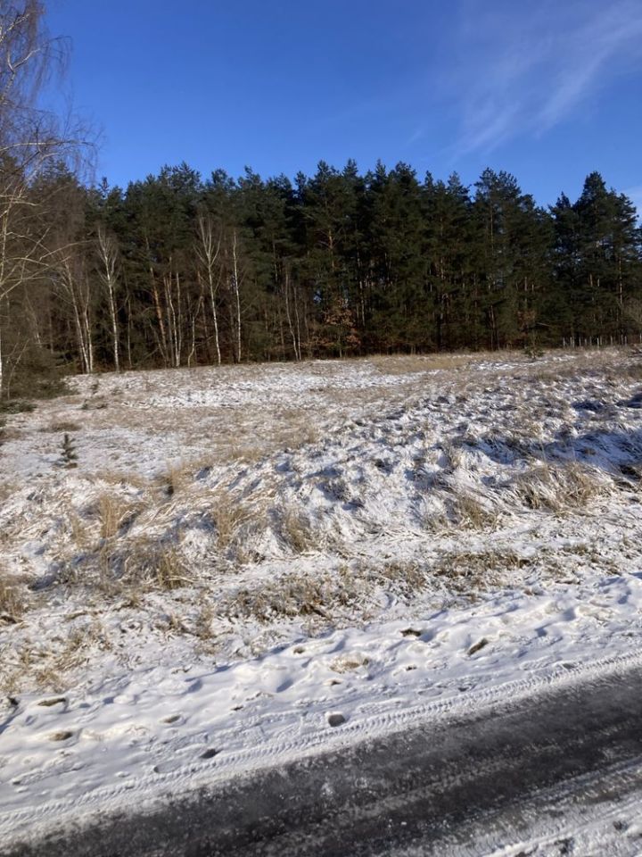 Działka budowlana Łośno, ul. Leśna. Zdjęcie 7