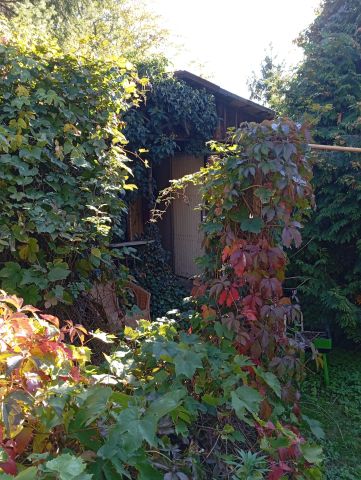 Działka rod Warszawa Mokotów, al. Niepodległości. Zdjęcie 5