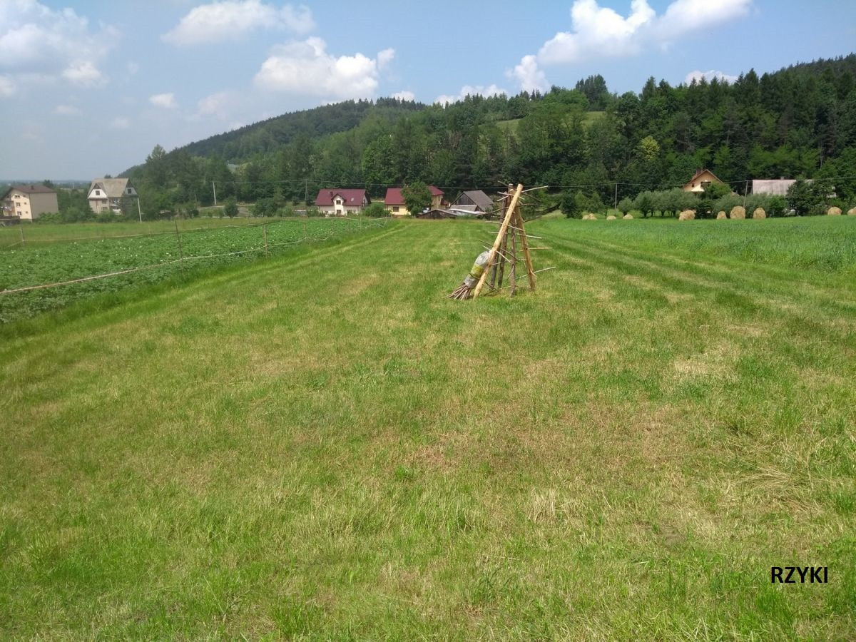 Działka budowlana Rzyki Młocki Dolne, os. Młocki Dolne