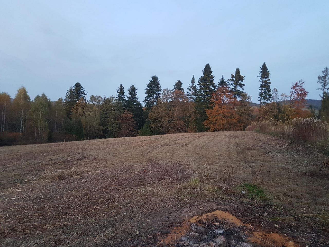 Działka budowlana Dąbrówka. Zdjęcie 3