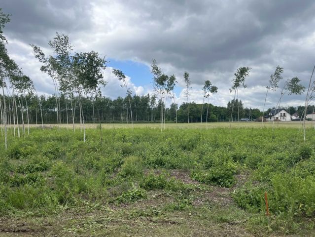 Działka rolno-budowlana Jarzębia Łąka. Zdjęcie 1