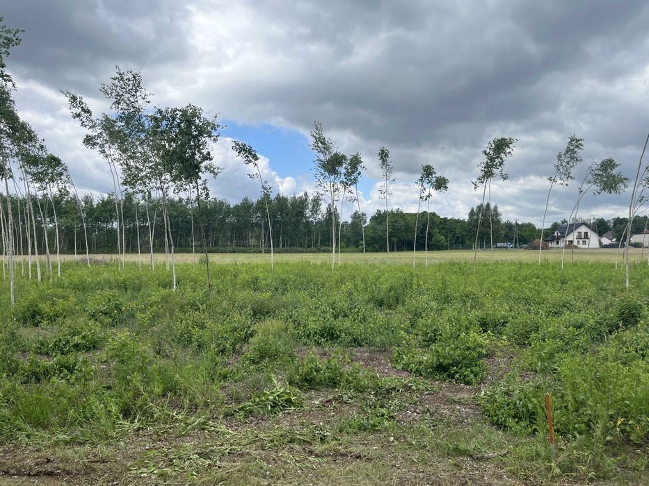 Działka rolno-budowlana Jarzębia Łąka