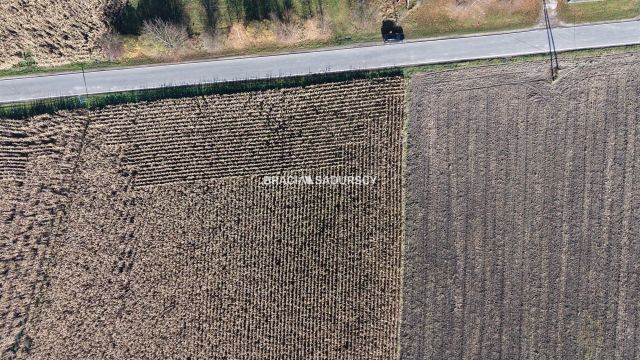 Działka budowlana Prandocin-Iły. Zdjęcie 4