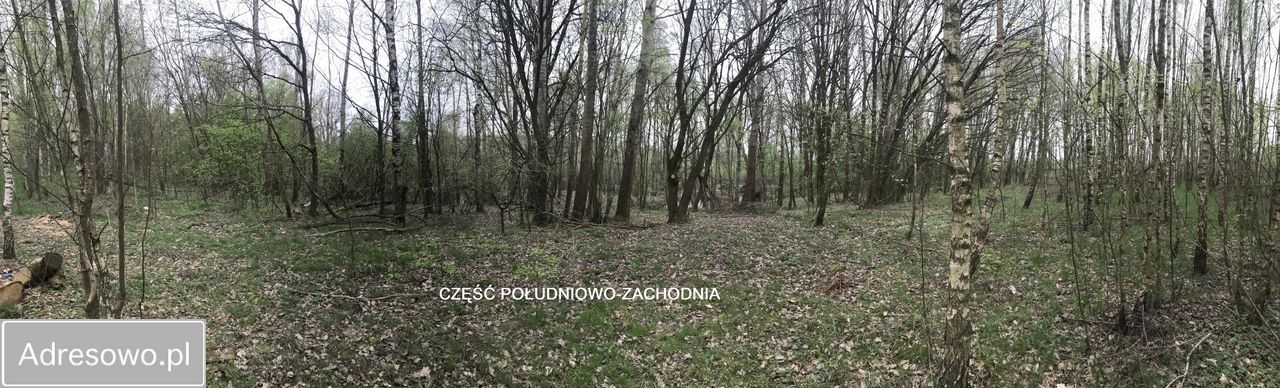 Działka inna Siemczyno. Zdjęcie 8