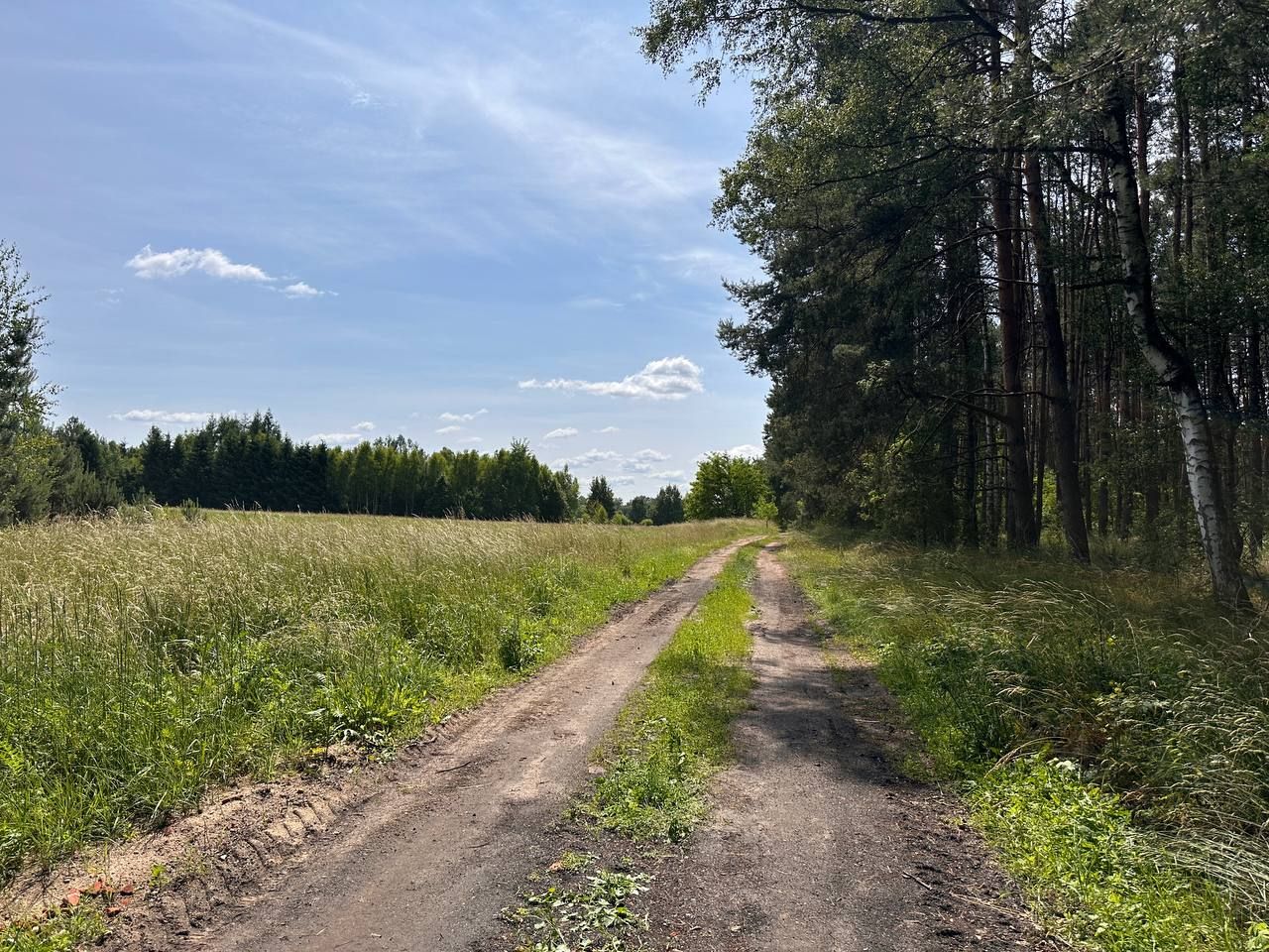 Działka rolna Trzebule. Zdjęcie 4