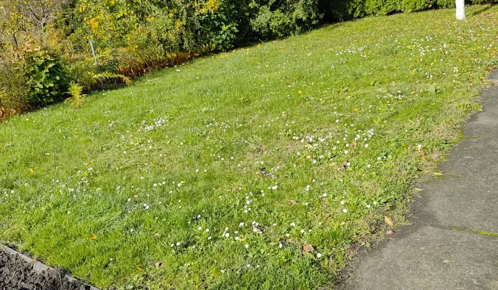 Działka rod Opole, ul. Kazimierza Sosnkowskiego