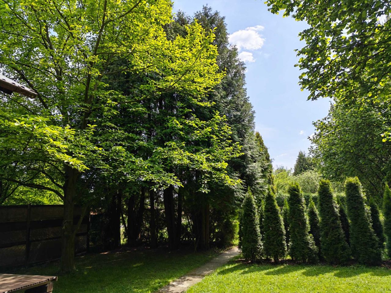 Działka rod Zabierzów, ul. Nad Wodą. Zdjęcie 4