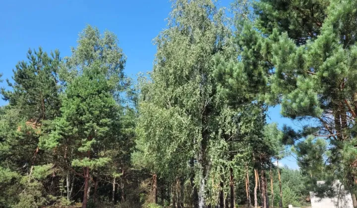 Działka budowlana Jeżowe Kowale