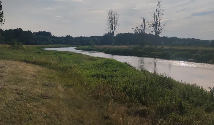 Działka rolna Słomianka Sępiki