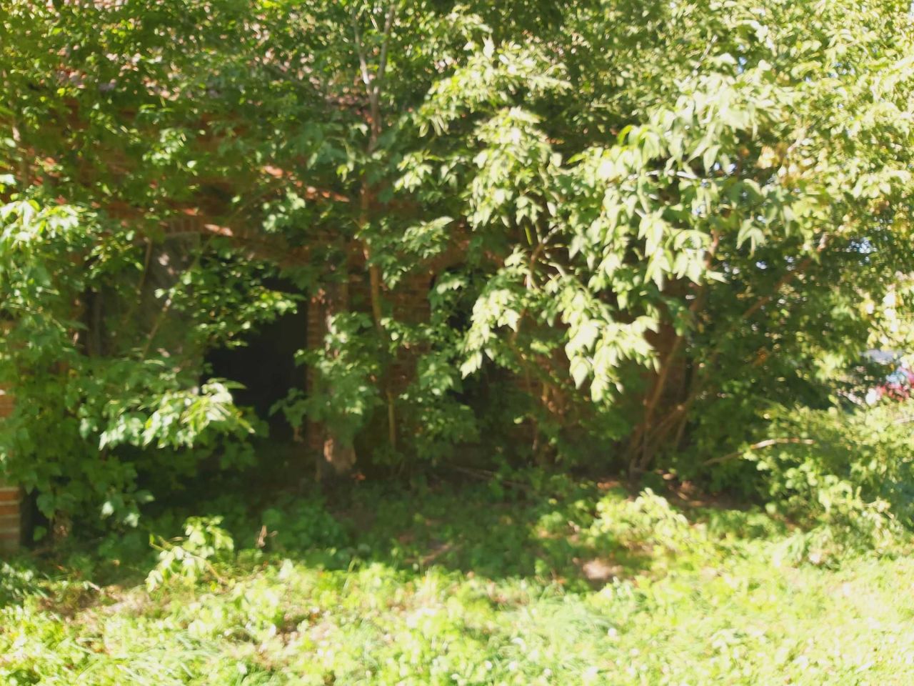 Działka siedliskowa Kosaki. Zdjęcie 3