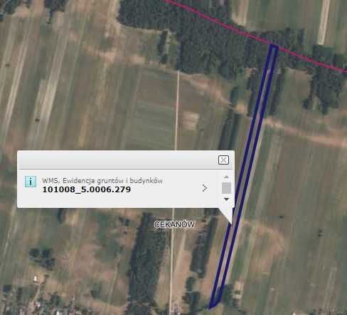 Działka rolna Cekanów. Zdjęcie 1