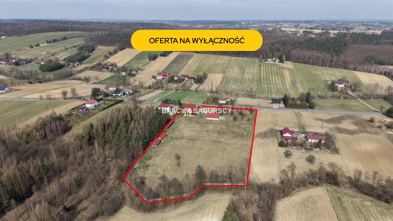 dom wolnostojący, 11 pokoi Sułkowice. Zdjęcie 1