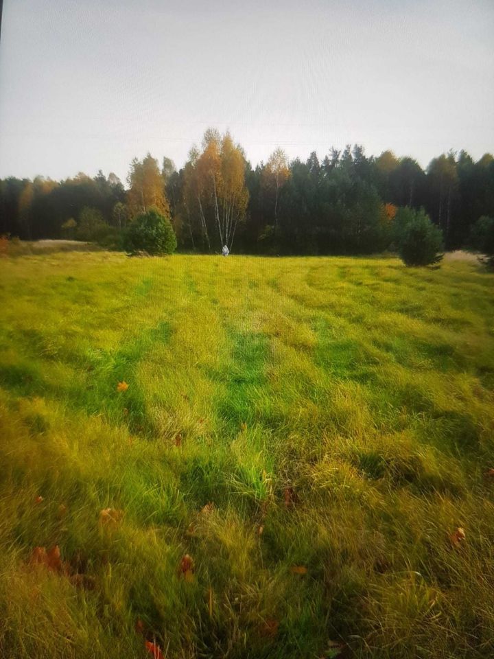 Działka Majdan Kasztelański. Zdjęcie 3