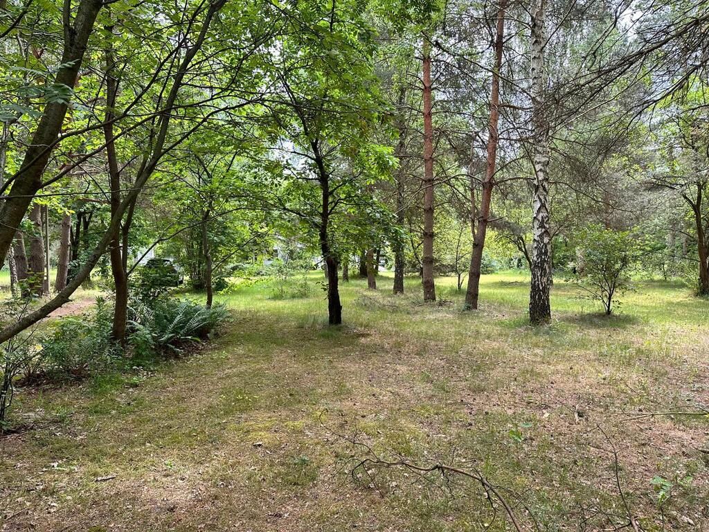 Działka budowlana Złotokłos. Zdjęcie 5