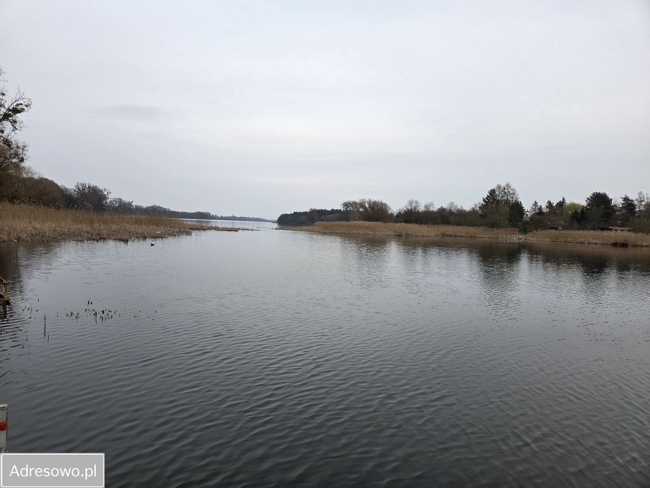 Działka budowlana Lusówko, ul. Jastrzębia. Zdjęcie 5