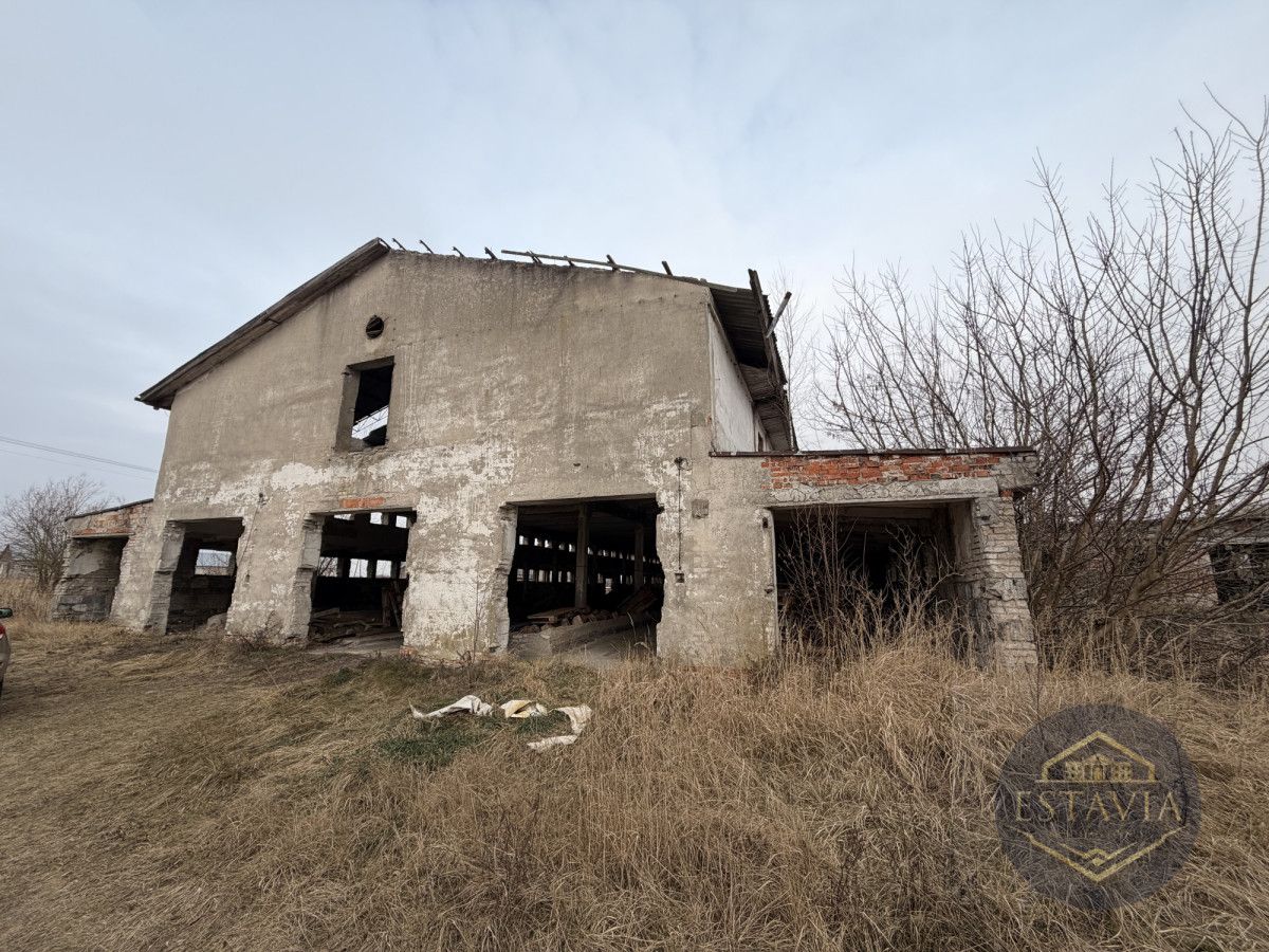 Działka inwestycyjna Węgorzyce. Zdjęcie 2