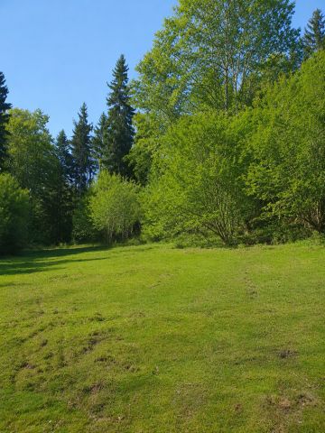 Działka rolno-budowlana Konradów. Zdjęcie 5