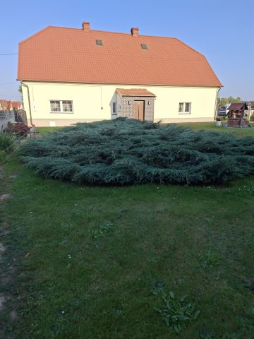 gospodarstwo Piotrowice. Zdjęcie 1