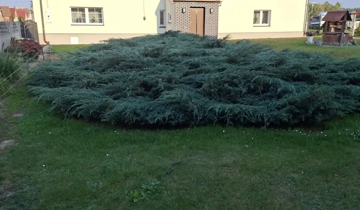gospodarstwo Piotrowice