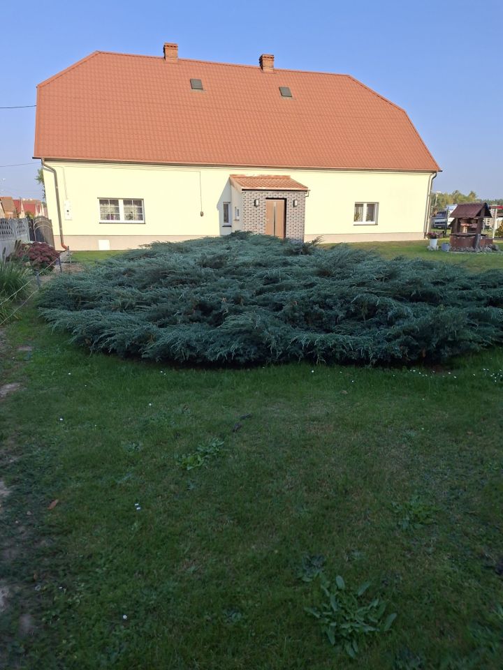gospodarstwo Piotrowice. Zdjęcie 1